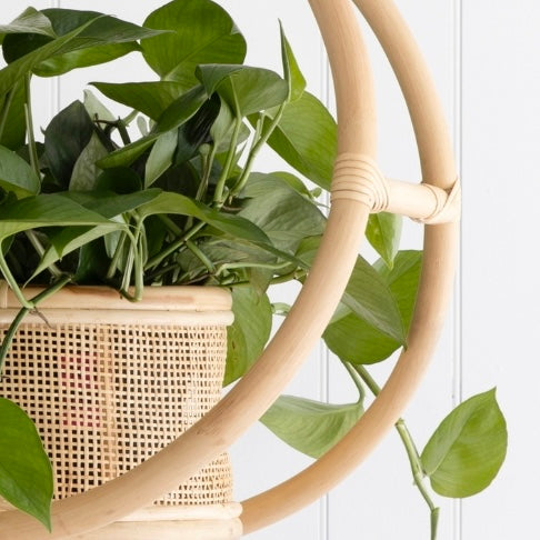 Botanical Basket