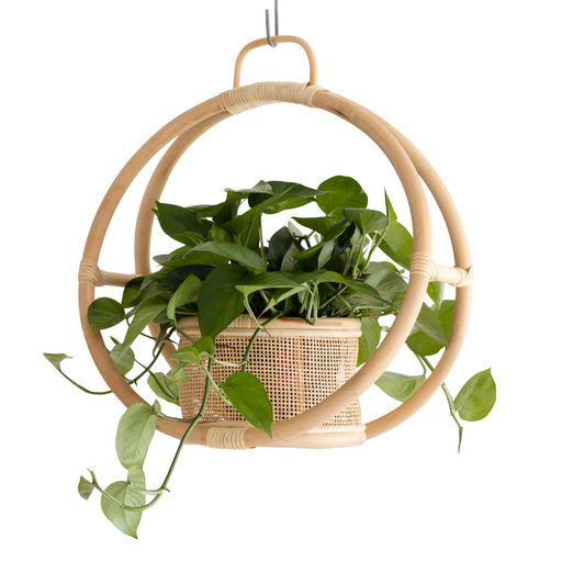 Botanical Basket